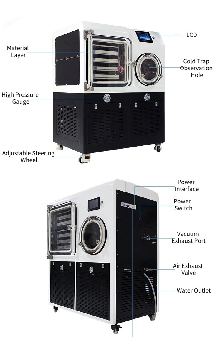 Pilot Scale Lyophilizer