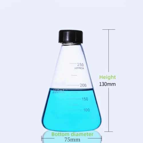 Borosil Conical Flask