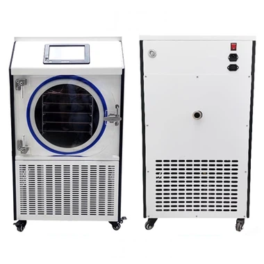 Do Small Freeze Dryers Need Special Ventilation?