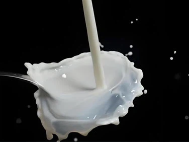 Freeze Dry Breast Milk Machine | Shaanxi Achieve chem-tech Freeze Dry Breast Milk Machine | Shaanxi Achieve chem-tech