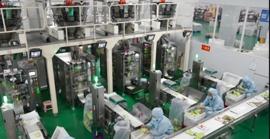 Fruit Freeze Dryer Machine uses | Shaanxi Achieve chem-tech Fruit Freeze Dryer Machine uses | Shaanxi Achieve chem-tech