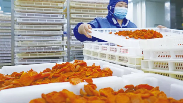 Fruit Freeze Dryer Machine uses | Shaanxi Achieve chem-tech Fruit Freeze Dryer Machine uses | Shaanxi Achieve chem-tech